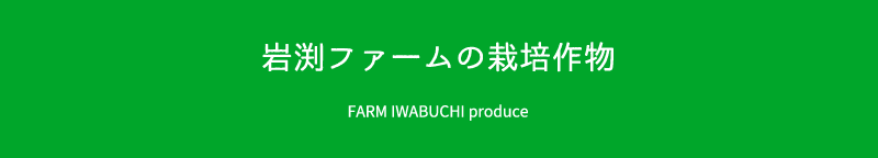 岩渕ファームの栽培作物 FARM IWABUCHI produce