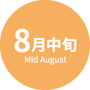 8月中旬 Mid August