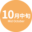 10月中旬 Mid October