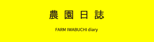 農園日誌 IWABUCHI FARM diary