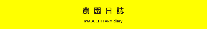 農園日誌 IWABUCHI FARM diary